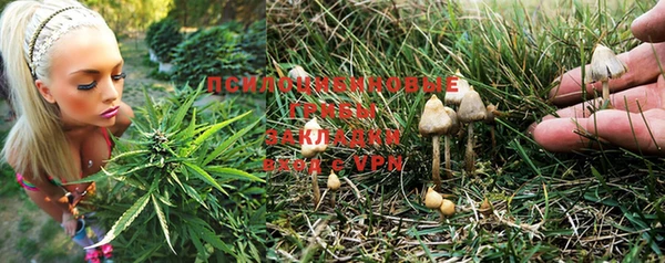 кокс Бородино