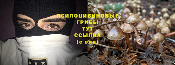 кокс Бородино