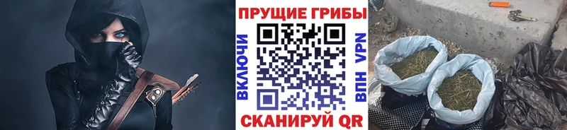 Псилоцибиновые грибы Magic Shrooms закладка это формула Гулькевичи
